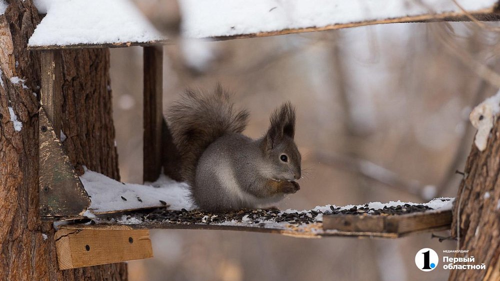 Солнечная и безветренная погода сохранится в Челябинской области