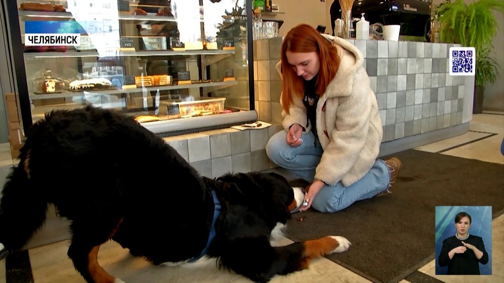 Где в Челябинске пускают с питомцами?