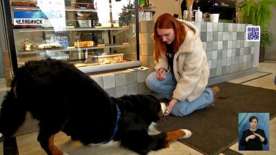 Где в Челябинске пускают с питомцами?