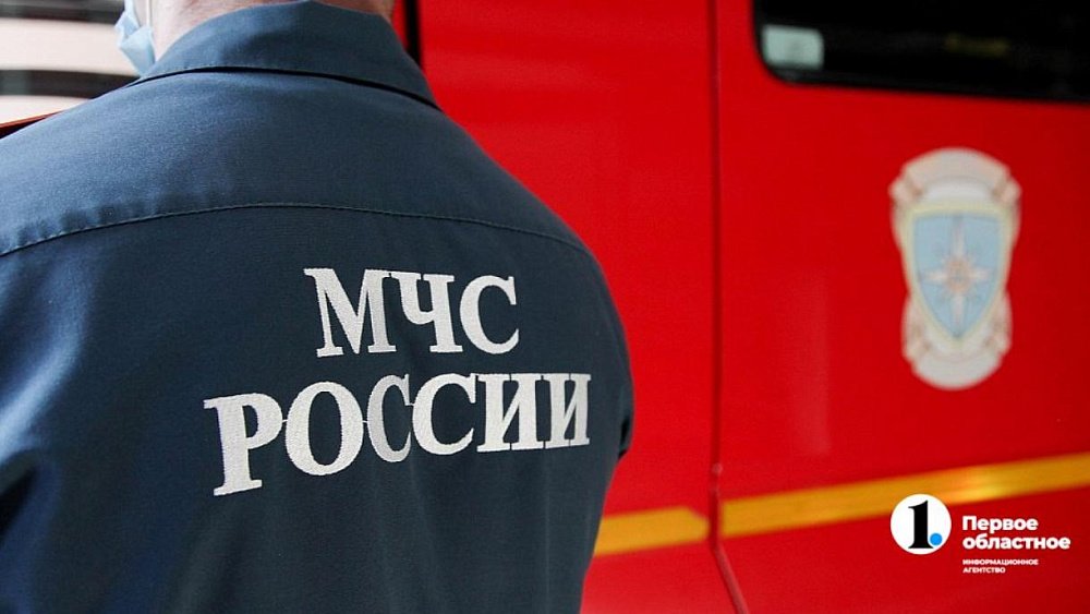 В Челябинской области в 2022 году количество пожаров уменьшилось на треть