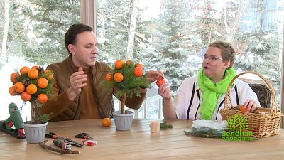 Зеленая передача 19.01.2023