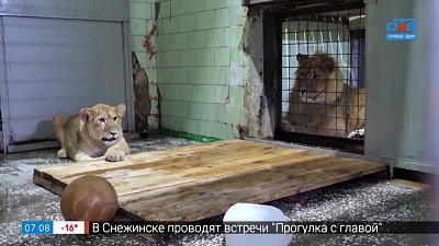 История любви Севы и Киары в сюжете «Королевская пара»