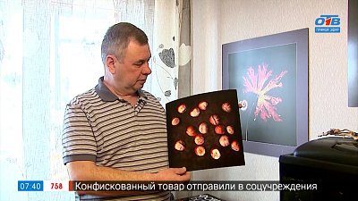 Необычные натюрморты в сюжете «Сканография»