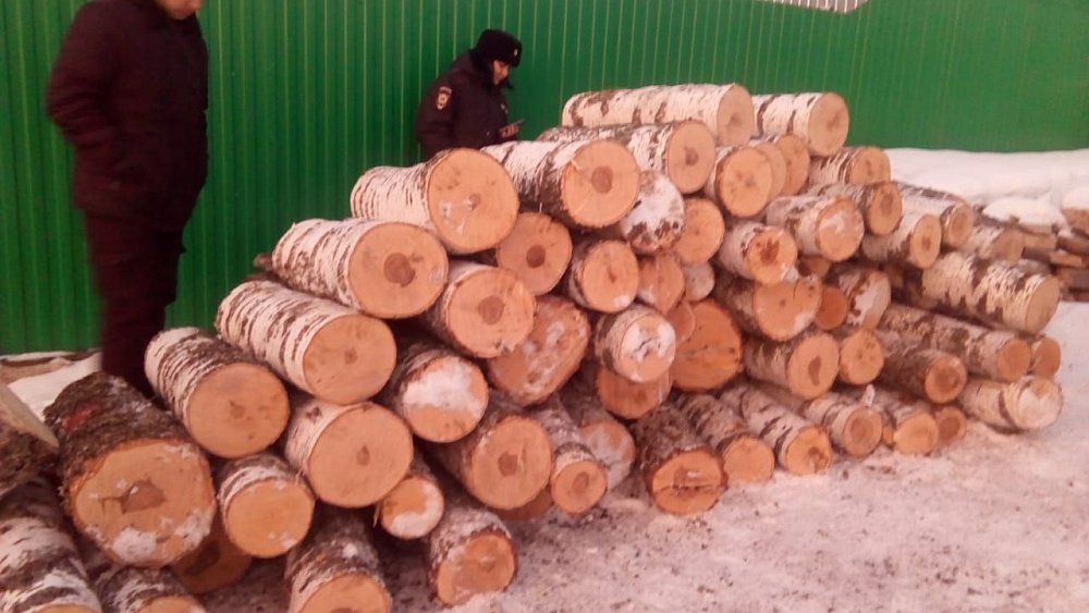 Жители поселка в Челябинской области опасаются провала шахты из‑за вырубки леса