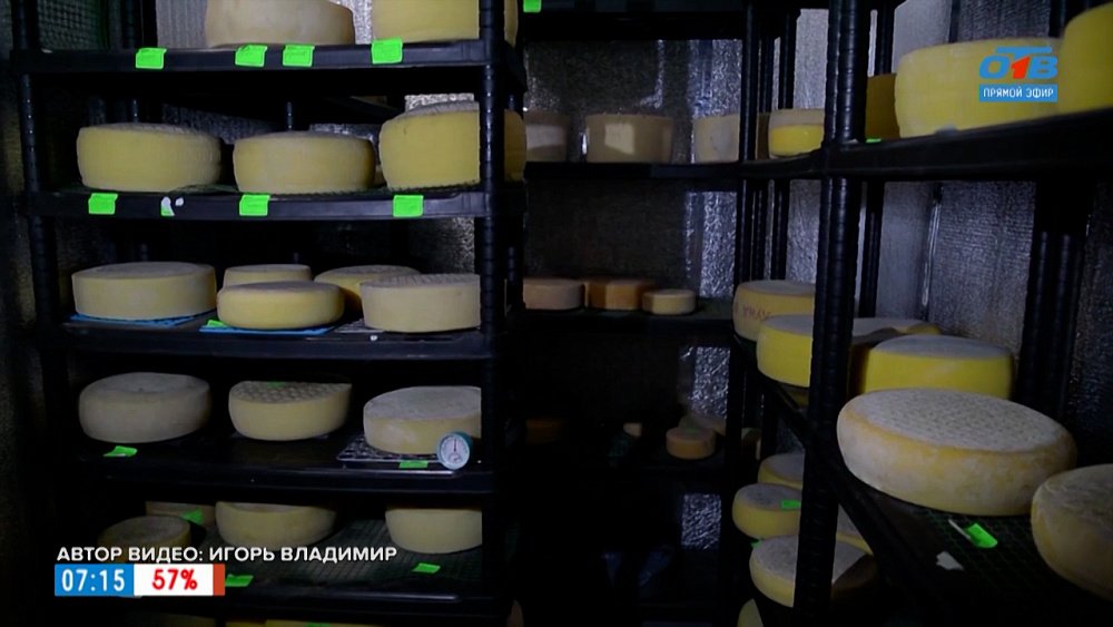 Итальянские сыры в южноуральской деревне в сюжете «День сыра»