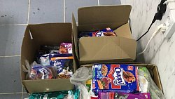 В Челябинске волонтеры собрали 600 кг корма для животных в приютах