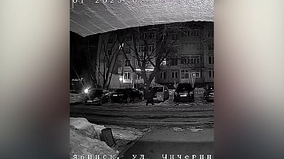 В Челябинске задержали похитителей автомобильных номеров