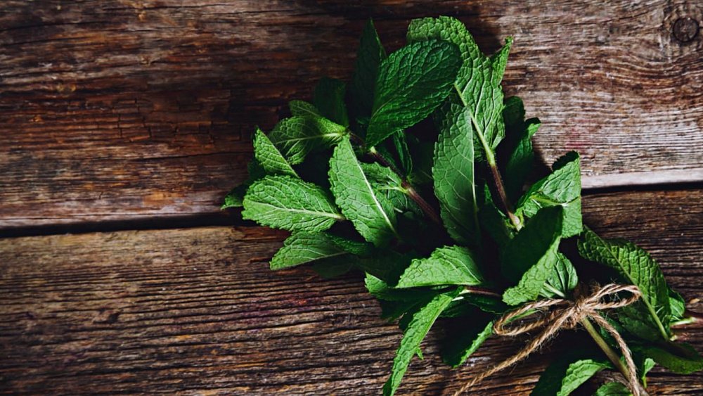 Безопасна ли мята для мужчин