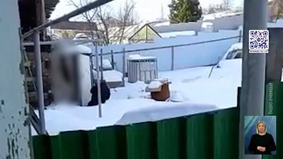 Задержали живодера, который убил собаку