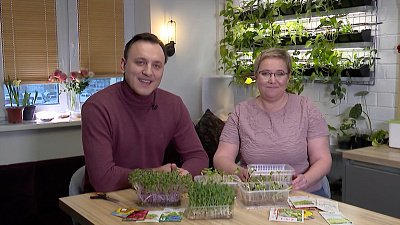 Зеленая передача 26.01.2023