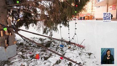 В Копейске вандалы испортили елку и гирлянду