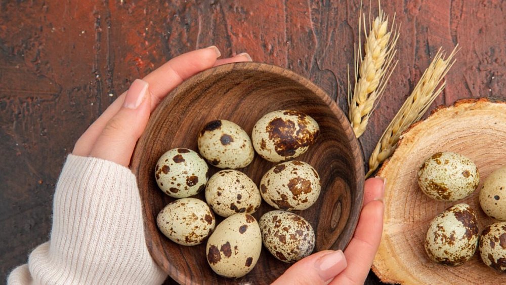 Чем полезны перепелиные яйца