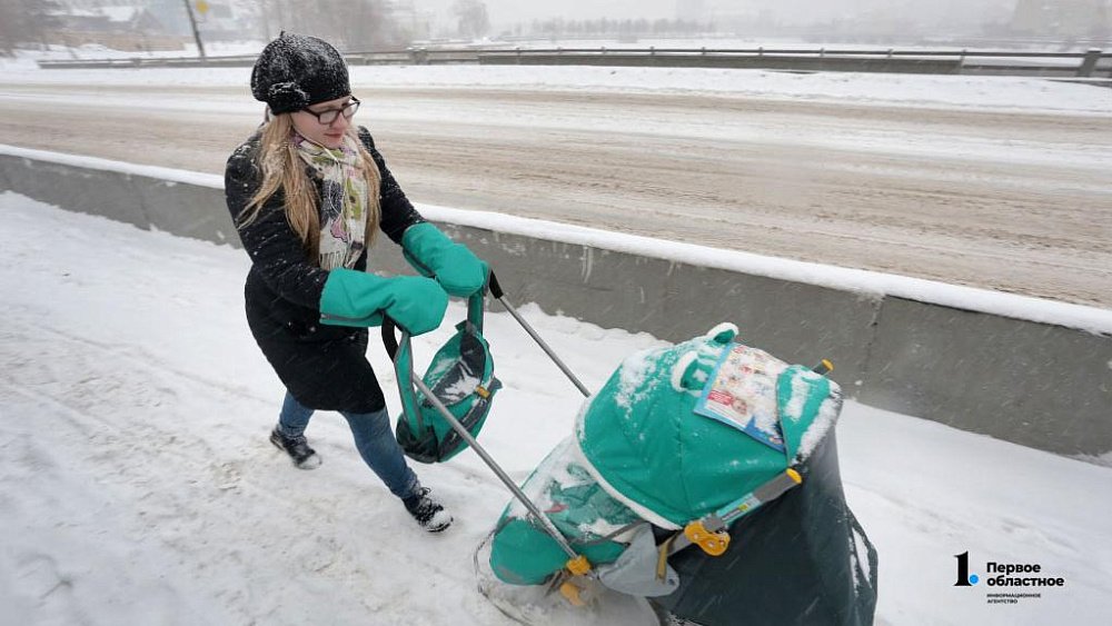 Снег и порывистый ветер прогнозируют в Челябинской области