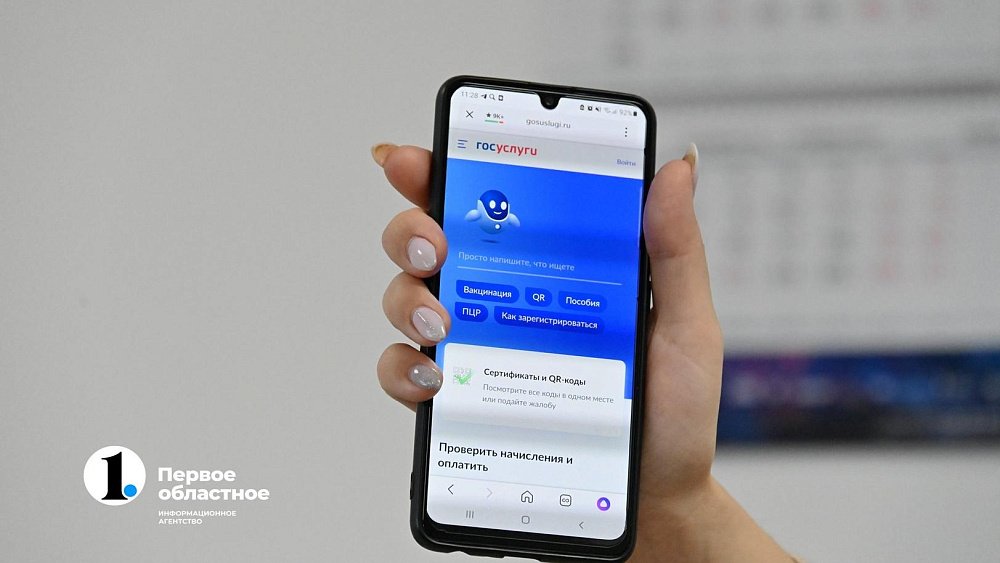 В России отменили скидку в размере 30% на оплату госпошлин через «Госуслуги»