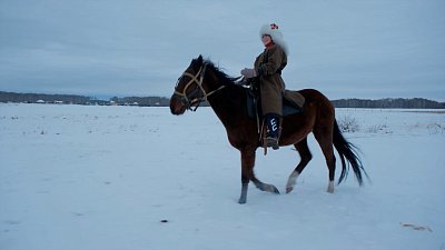 Обмани Дарвина от 27.01.2023