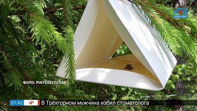 Вредителей сада можно просто... переловить! В рубрике «Руки садовода»