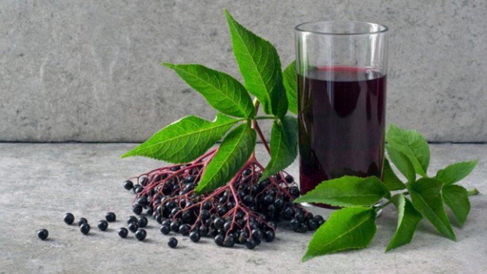 Эта ягода помогает при простуде и гриппе