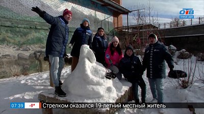Лепим снежные фигуры в сюжете «День Лепунов в Челябинском зоопарке»
