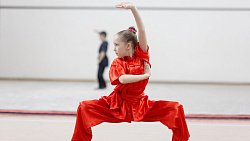 В Челябинске появился первый мастер спорта по ушу