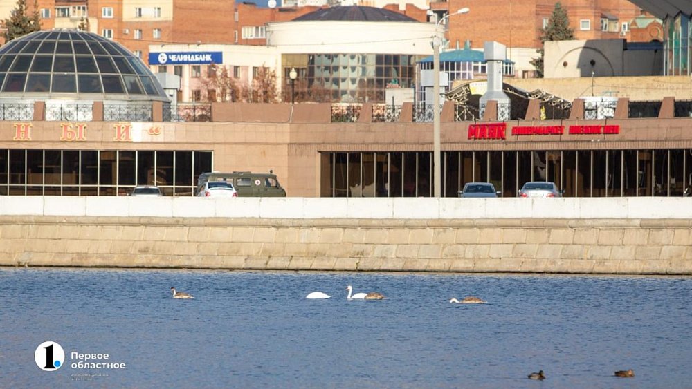 В 2023 году в Челябинске разработают проект чистки русла реки Миасс