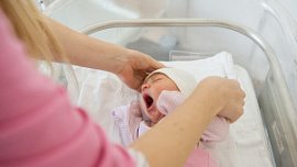В Челябинске в декретный отпуск хотят уйти 44% работающих мужчин В Челябинске в декретный отпуск хотят уйти 44% работающих мужчин