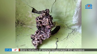 Дикая красота в рубрике «Что в шкатулке?»