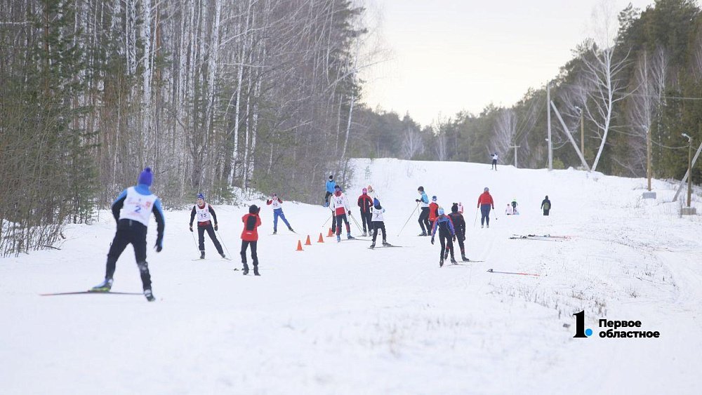 Алексей Текслер поддержал идею снежинских спортсменов о строительстве лыжероллерной трассы