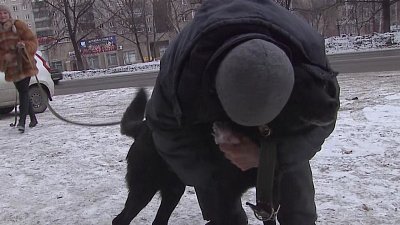 В Миассе отлов собак забрал питомца на глазах у хозяина-пенсионера