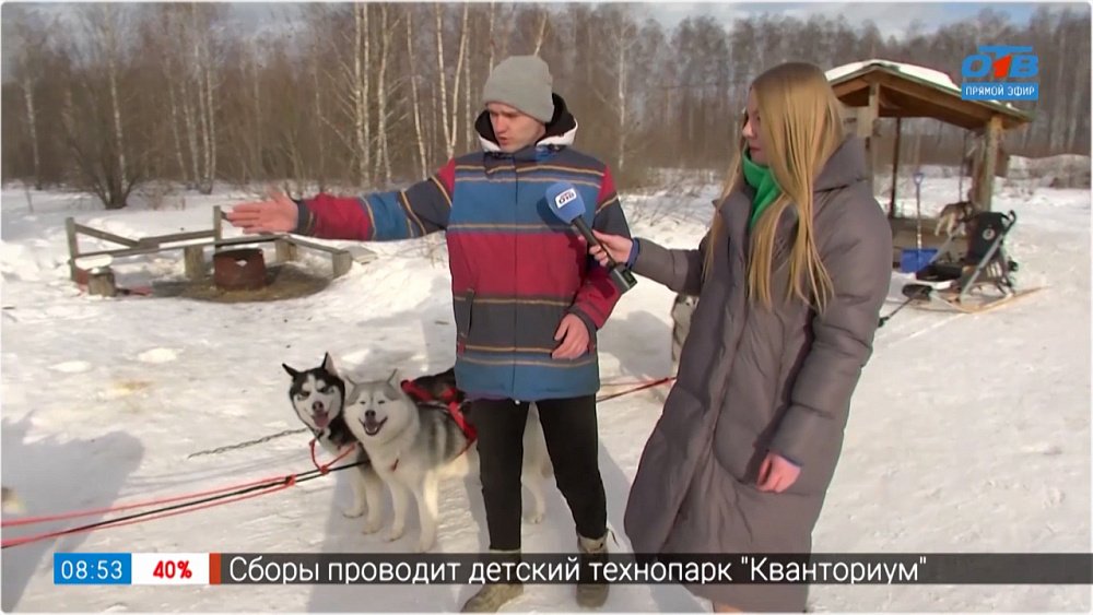 Для чего нужны ездовые собаки в «Прямом включении»