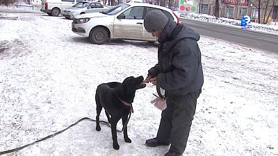 Дворнику с посёлка Динамо вернули друга
