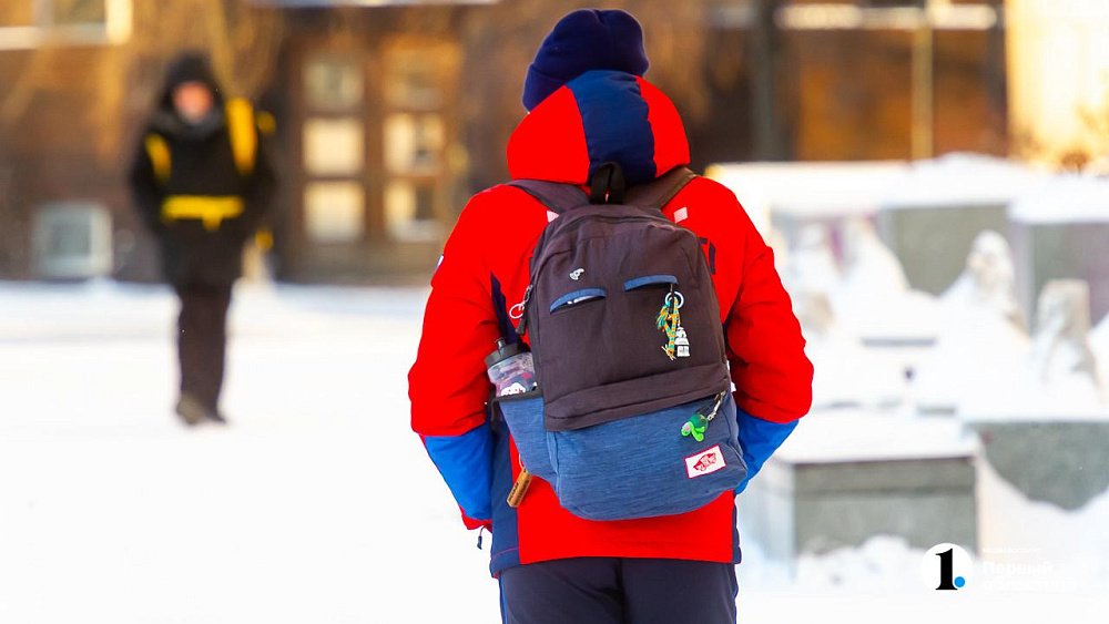 В выходные в Челябинской области прогнозируют морозные ночи и ясную погоду