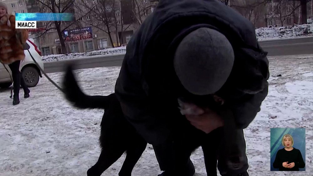 Дворнику вернули пса