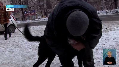 Дворнику вернули пса