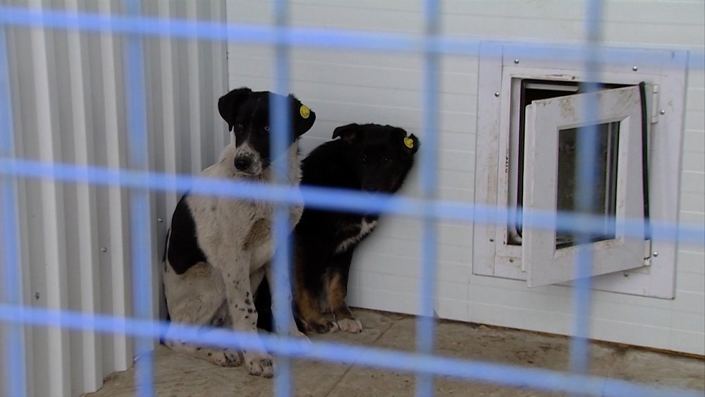 Итоги от 04.02.2023