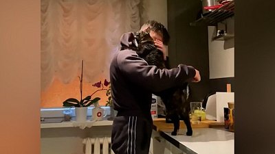 Мех и смех: милая охота, недосягаемость и обнимашки