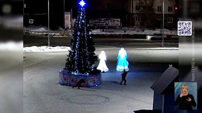 Два друга испортили елку