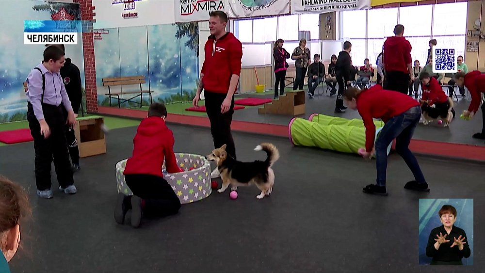 Челябинцы могут поиграть и позаниматься с корги