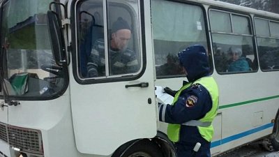 В Челябинске назвали перевозчика с самыми частыми нарушениями ПДД