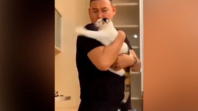 Мех и смех: защитник, пекарь и спортсмены