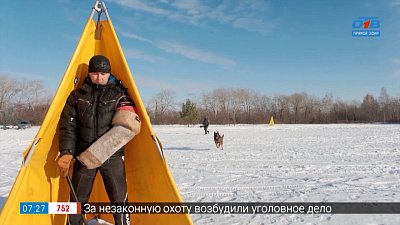 Как воспитать собаку-охранника в сюжете «Рабочие собаки»