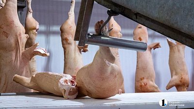 Суд избавил от субсидиарной ответственности топ-менеджера завода «Вюрст» в Челябинске