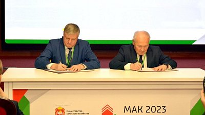 Челябинская область будет продавать больше зерна государству