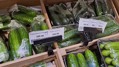 Огурцы в Челябинской области подорожали из-за заморозков в Средней Азии