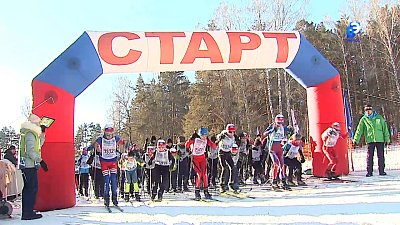 «Лыжня России» собрала более 240 участников в Миассе