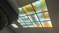 Медики рассказали, как в Челябинске лечат рак у детей