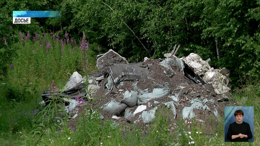 В регионе запустят 3 новых партийных проекта