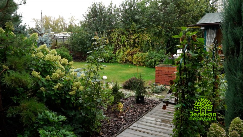 Зеленая передача 16.02.2023