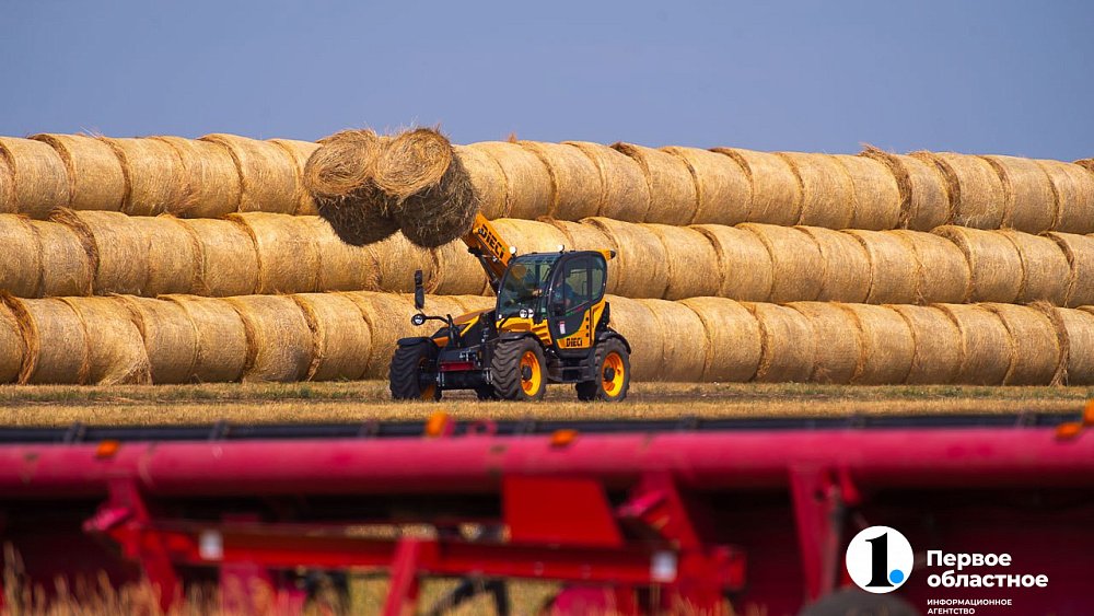 Агробизнес сможет получить повышенные гранты на собственные проекты