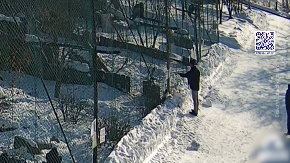 Мужчина кормил птиц в зоопарке неизвестной едой