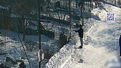 Мужчина кормил птиц в зоопарке неизвестной едой